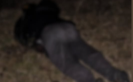 HALLAN CUERPO SIN VIDA EN SECTOR TANCARPATA – QUISAPATA, ABANCAY